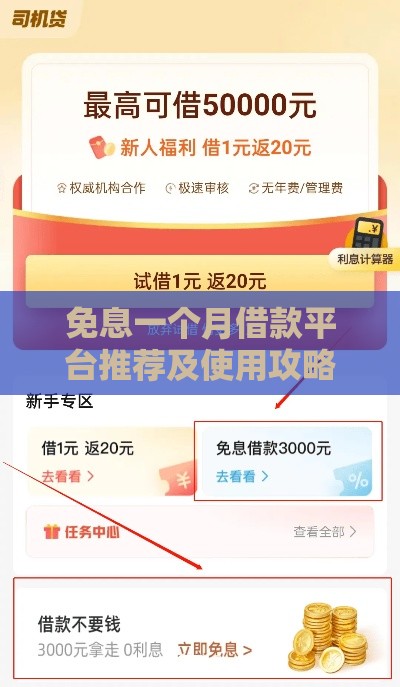 免息一个月借款平台推荐及使用攻略