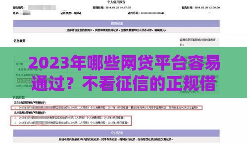 2023年哪些网贷平台容易通过？不看征信的正规借款渠道解析