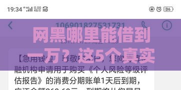 网黑哪里能借到一万？这5个真实渠道或许能帮到你