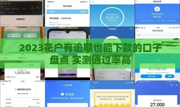 2023花户有逾期也能下款的口子盘点 实测通过率高