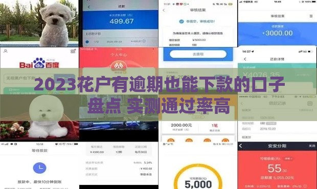 2023花户有逾期也能下款的口子盘点 实测通过率高