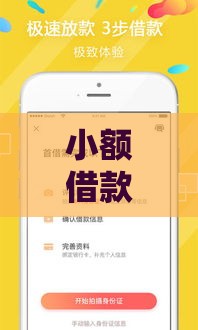 小额借款100元马上放款：急用钱时的快速解决方案