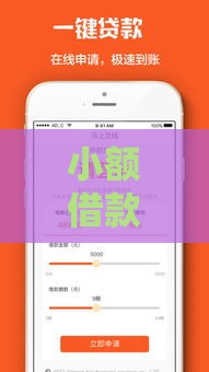 小额借款100元马上放款：急用钱时的快速解决方案