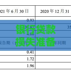 银行贷款损失准备计提指引与风险控制