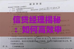 信贷经理揭秘：如何高效申请贷款并避开常见陷阱