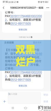 双黑烂户风控下款5000攻略：真实渠道与注意事项解析