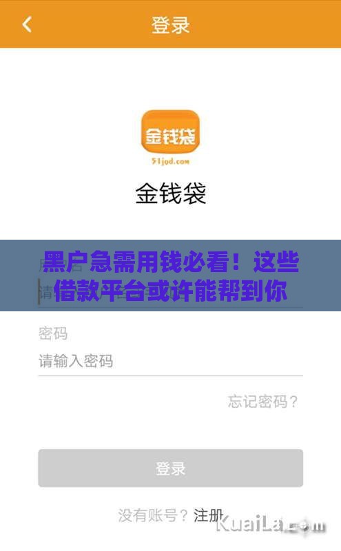 黑户急需用钱必看！这些借款平台或许能帮到你