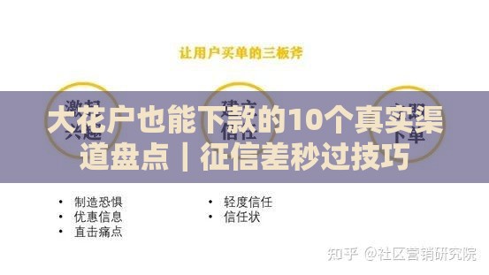 大花户也能下款的10个真实渠道盘点｜征信差秒过技巧