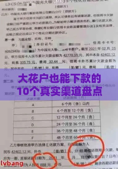 大花户也能下款的10个真实渠道盘点｜征信差秒过技巧
