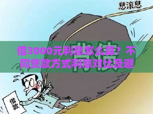 借3000元利息怎么算？不同贷款方式利息对比及避坑指南