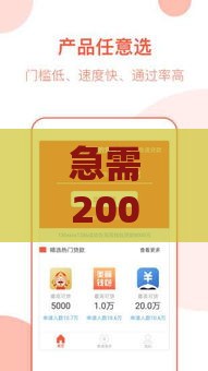 急需2000元必过的网贷口子推荐及申请攻略