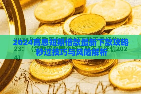 2024高息短期借款最新下款攻略 秒过技巧与风险解析