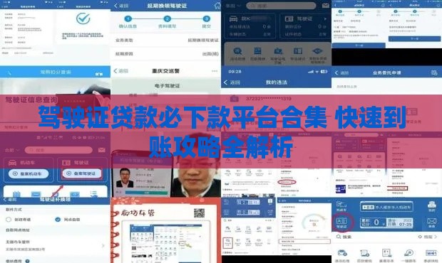 驾驶证贷款必下款平台合集 快速到账攻略全解析