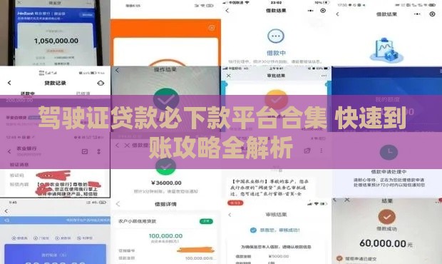 驾驶证贷款必下款平台合集 快速到账攻略全解析