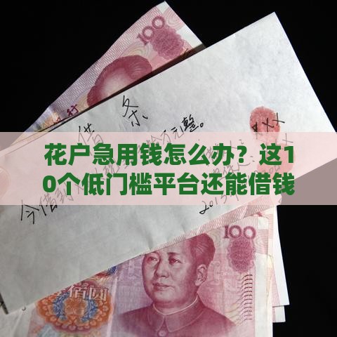 花户急用钱怎么办？这10个低门槛平台还能借钱！