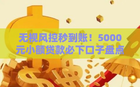 无视风控秒到账！5000元小额贷款必下口子盘点