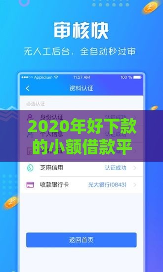 2020年好下款的小额借款平台推荐及申请指南