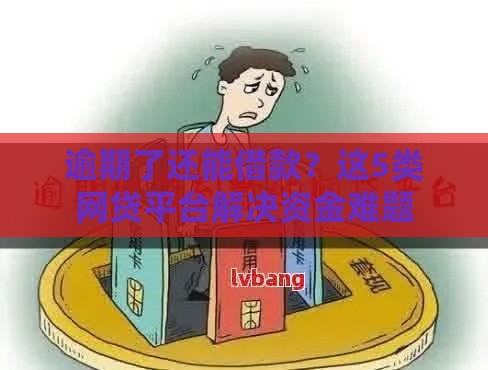 逾期了还能借款？这5类网贷平台解决资金难题