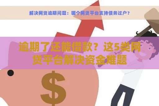 逾期了还能借款？这5类网贷平台解决资金难题
