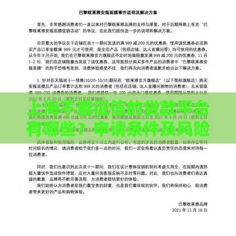 上海不查征信的贷款平台有哪些？申请条件及风险解析