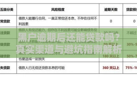 黑户逾期后还能贷款吗？真实渠道与避坑指南解析