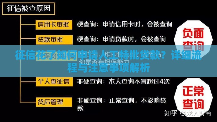 征信花了如何申请人工特批贷款？详细流程与注意事项解析