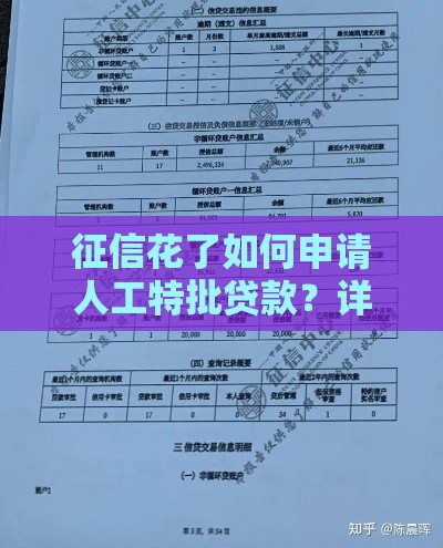 征信花了如何申请人工特批贷款？详细流程与注意事项解析