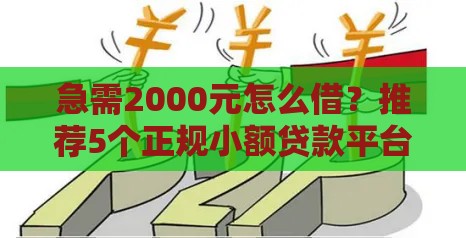急需2000元怎么借？推荐5个正规小额贷款平台及申请攻略