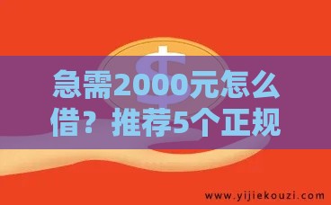急需2000元怎么借？推荐5个正规小额贷款平台及申请攻略