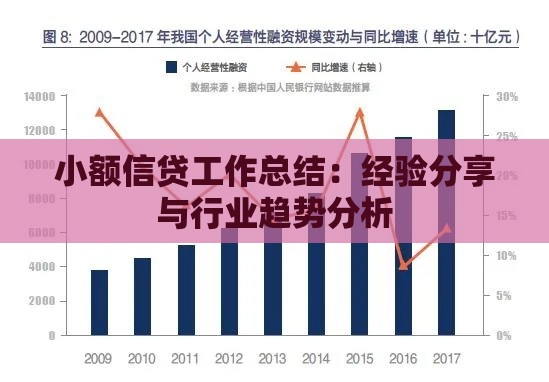小额信贷工作总结：经验分享与行业趋势分析