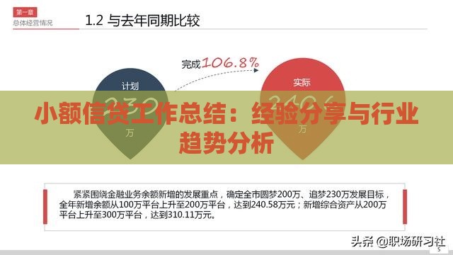 小额信贷工作总结：经验分享与行业趋势分析