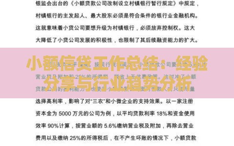 小额信贷工作总结：经验分享与行业趋势分析