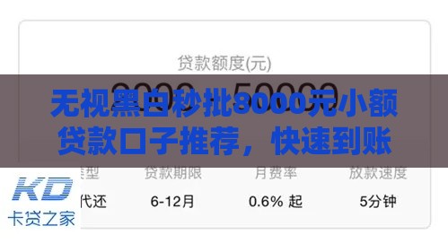 无视黑白秒批8000元小额贷款口子推荐，快速到账攻略分享