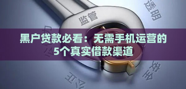 黑户贷款必看：无需手机运营的5个真实借款渠道