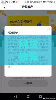 网贷被骗银行卡错误导致资金冻结？揭秘常见套路与应对方法