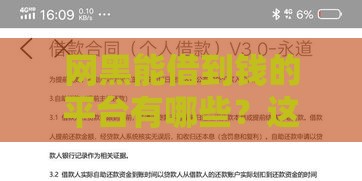 网黑能借到钱的平台有哪些？这6类渠道可尝试