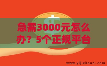 急需3000元怎么办？5个正规平台快速到账攻略