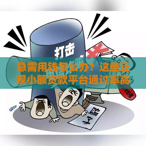 急需用钱怎么办？这些正规小额贷款平台通过率高