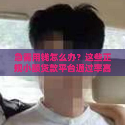 急需用钱怎么办？这些正规小额贷款平台通过率高