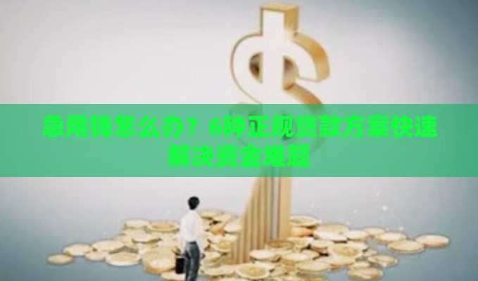 急用钱怎么办？6种正规贷款方案快速解决资金难题