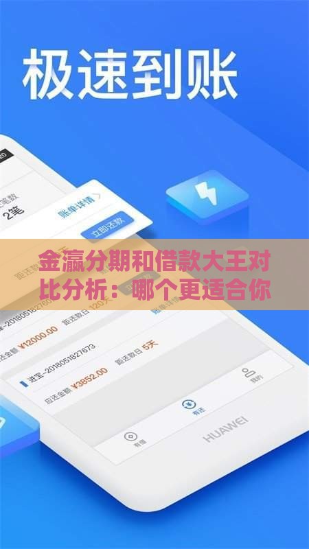 金瀛分期和借款大王对比分析：哪个更适合你的贷款需求？