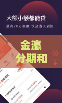 金瀛分期和借款大王对比分析：哪个更适合你的贷款需求？