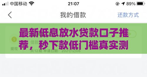 最新低息放水贷款口子推荐，秒下款低门槛真实测评