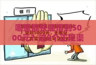哪里能快速借到5000元？这8个正规渠道真实评测
