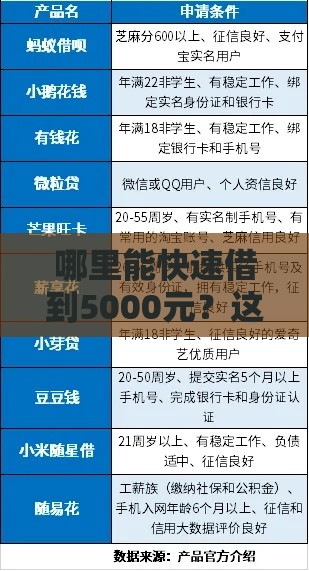 哪里能快速借到5000元？这8个正规渠道真实评测
