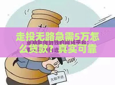 走投无路急需5万怎么贷款？真实可靠的渠道测评