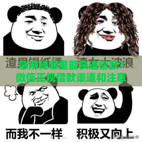 急用钱哪里能快速借款？微信正规借款渠道和注意事项