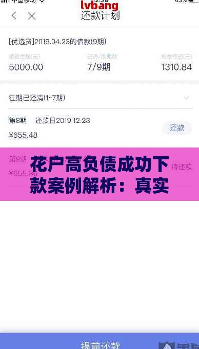 花户高负债成功下款案例解析：真实经验与贷款技巧分享