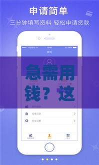 急需用钱？这10个小贷平台快速放款，最快5分钟到账！