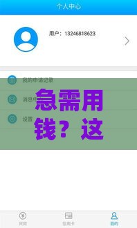 急需用钱？这10个小贷平台快速放款，最快5分钟到账！